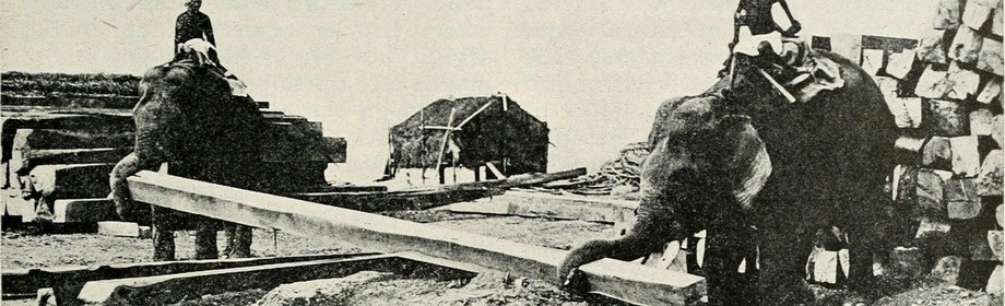 Large elepahnt upsert